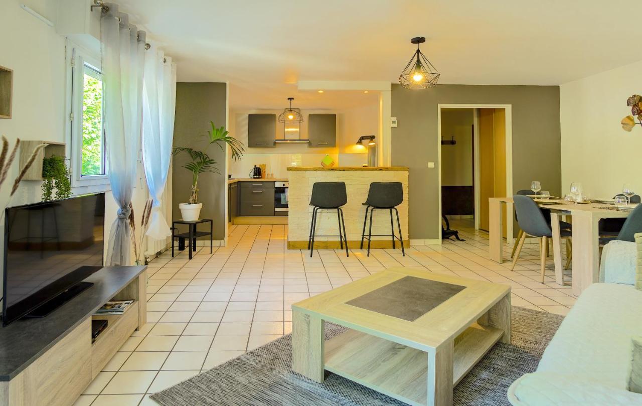 100 Geneve Joli T2 Avec Place De Parking Privee 阿讷西 外观 照片